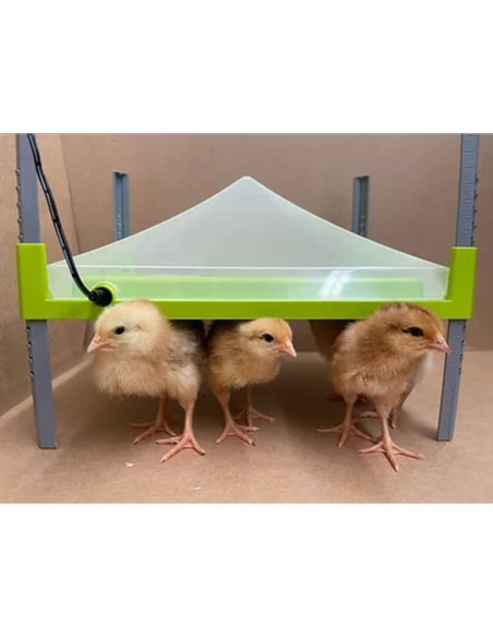 Plato calentador horizontal para pollitos CALEO 700 (30,5 x 23,0 cm) | incluida funda protectora