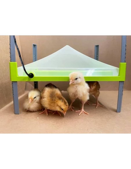 Plato calentador horizontal para pollitos CALEO 700 (30,5 x 23,0 cm) | incluida funda protectora
