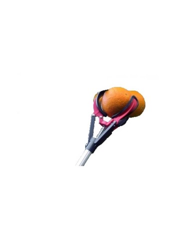 Recoge frutas 90101