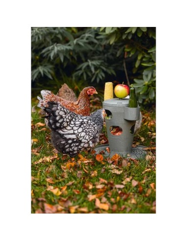 Tour d’alimentation pour volailles