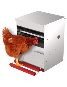 Mangeoire automatique pour poulets "Safeed" 6 kg