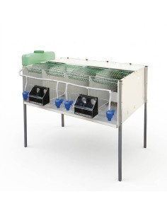 Cage for partridges with 4 departments