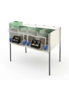 Cage for partridges with 4 departments 2