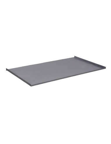 Economy model tray 1 m (100x91x2 cm)