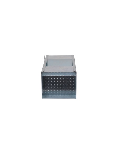 1 mouth feeder, 1.5 kg