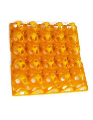 Duck/Turkey Egg Tray, 20 Eggs