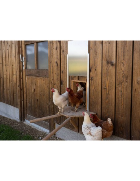 Puerta Corredera para Gallinero (Trampilla Deslizante de Alta Resistencia)