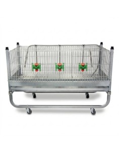 Chicken exhibition cage 0.90 m