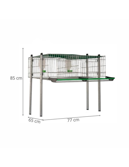Quail cage model C-1, 2 departments