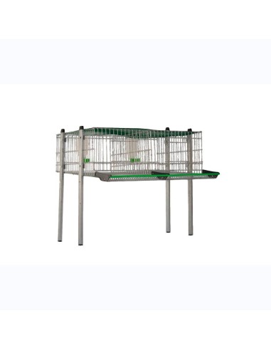Quail cage model C-1, 2 departments