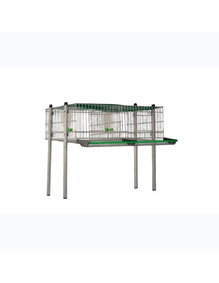 Gaiola para codornas modelo C-1, 2 departamentos