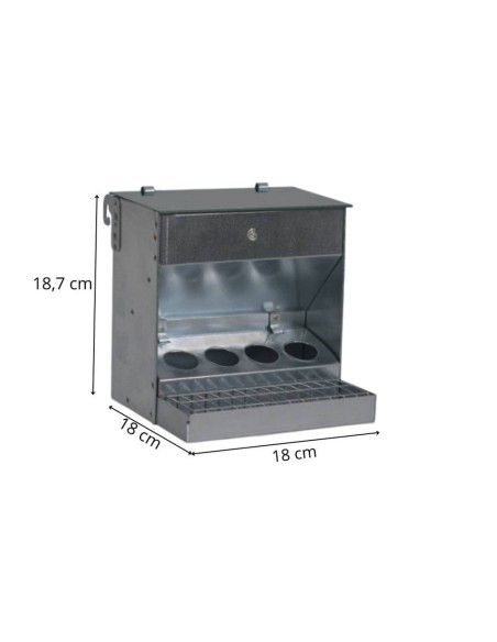 Canary feeder with 4 flying holes