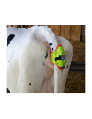 Sensor de Parto Moocall – Dispositivo...
