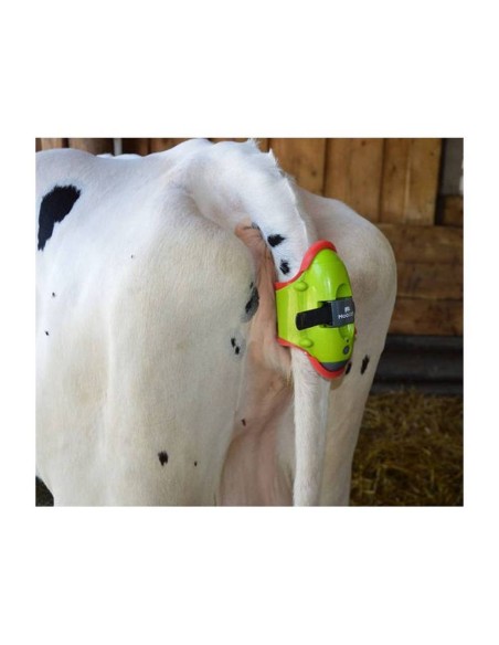 Sensor de Parto Moocall – Dispositivo Inteligente de Predicción para Vacas