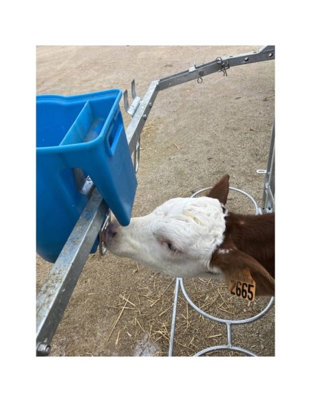 Gama de Cubos de Alimentación Calfeteria para Terneros con Tetinas Peach Teat (6 L y 10 L) – Stallion