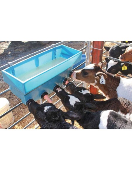 Gama de Alimentadores sin Compartimentos Calfeteria para Terneros con Tetinas Peach Teat (30 L y 80 L) – Stallion