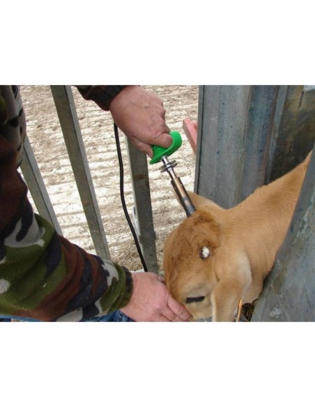 Descornadora Eléctrica SAROS con Transformador Express Farming