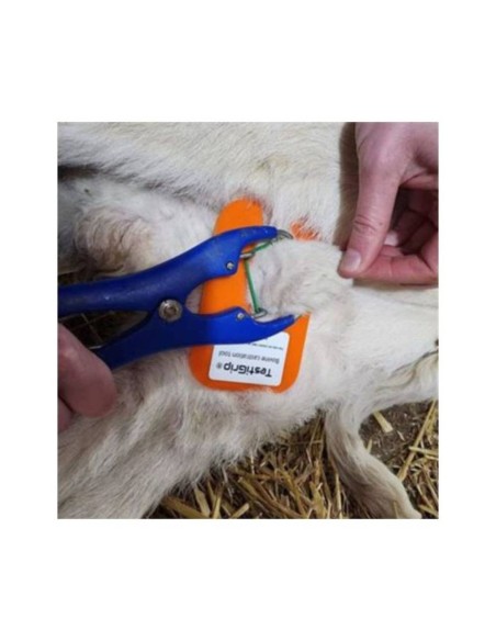 Herramienta de Sujeción TestiGrip para Castración de Terneros con Elastrador – Ukal