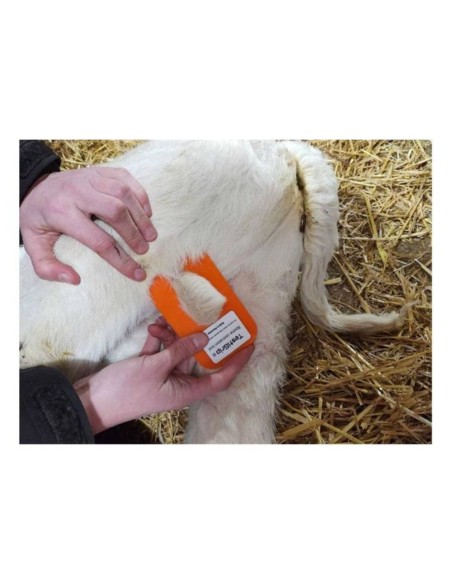 Herramienta de Sujeción TestiGrip para Castración de Terneros con Elastrador – Ukal