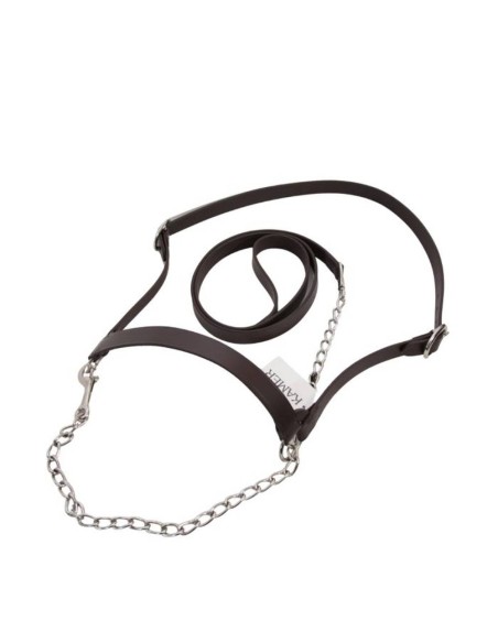 Cabezada Americana de Cuero KAMER para Vacas Lecheras – Negro o Marrón