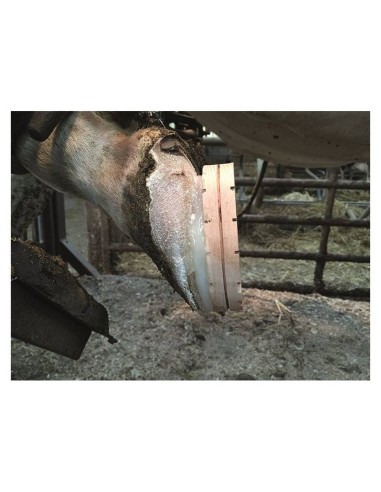 Bloque de Madera para Tratamiento de Garras –...